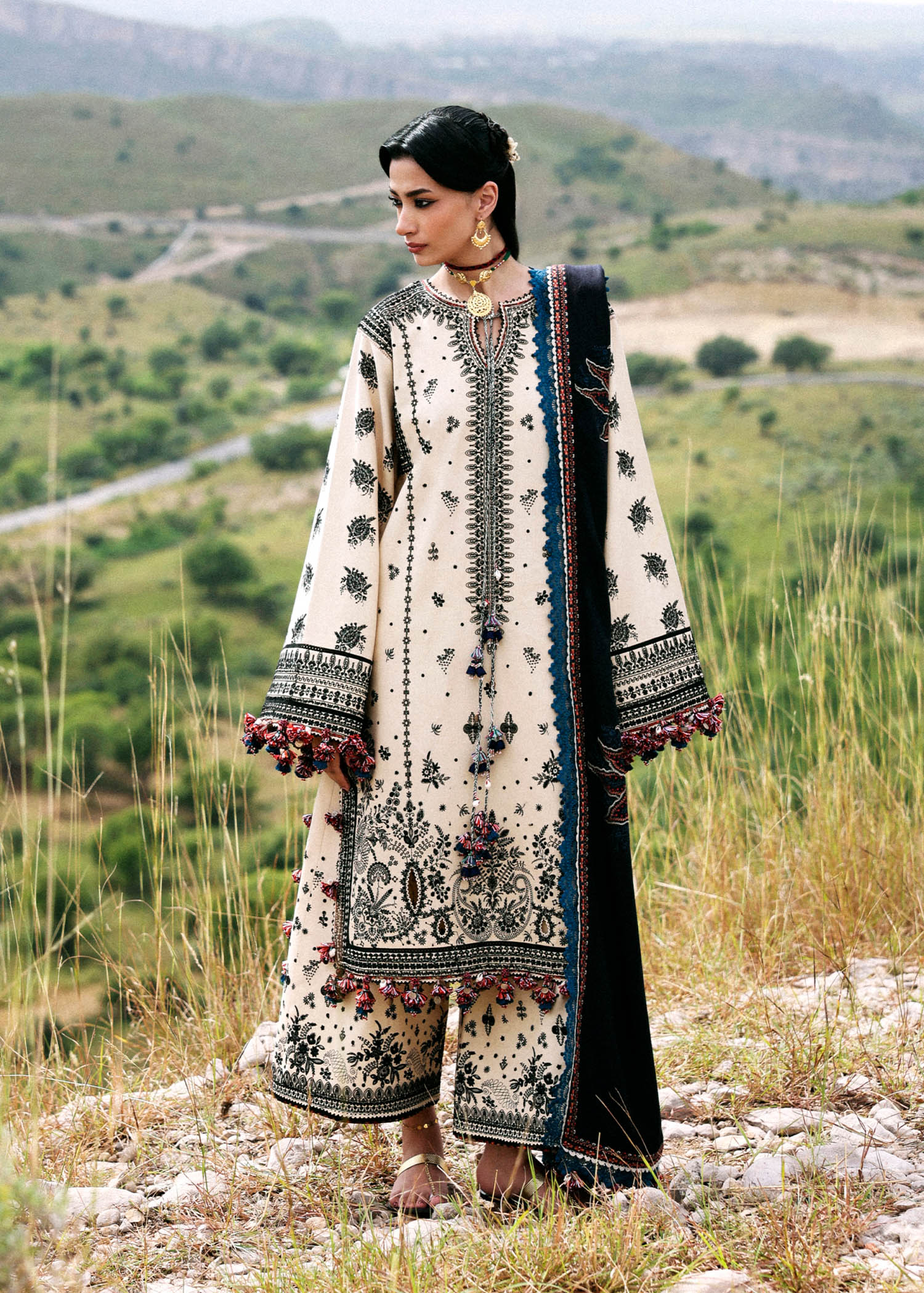 Dhanak - Image 12